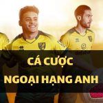 Cá cược Dafabet kèo bóng đá Ngoại Hạng Anh