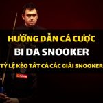 dafabet-huong-dan-ca-cuoc-bida-snooker