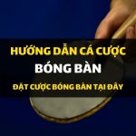 dafabet-huong-dan-ca-cuoc-bong-ban