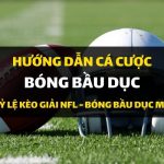 dafabet-huong-dan-ca-cuoc-bong-bau-duc