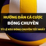 dafabet-huong-dan-ca-cuoc-bong-chuyen