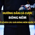 dafabet-huong-dan-ca-cuoc-bong-nem
