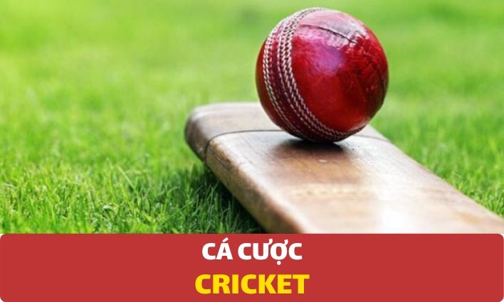 Cá cược Cricket - Hướng dẫn cách chơi tại Dafabet